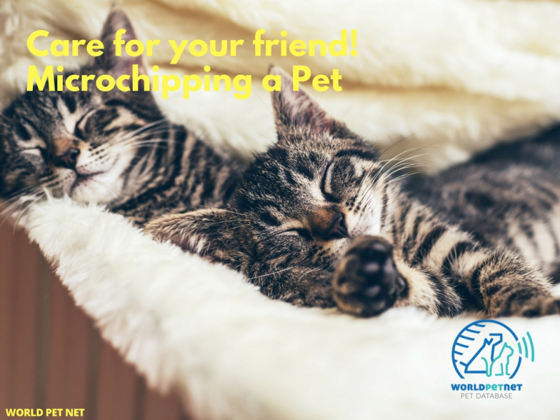 Просты і эфектыўны метад рэгістрацыі жывёл